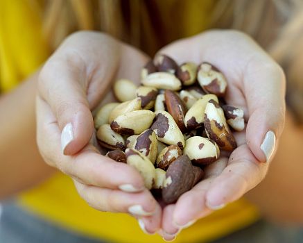 Para orechy a ich účinky (nielen) na cholesterol. Aká je denná dávka?