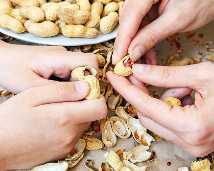 Účinky arašidov na zdravie. Priberá sa iba z pražených arašidov?